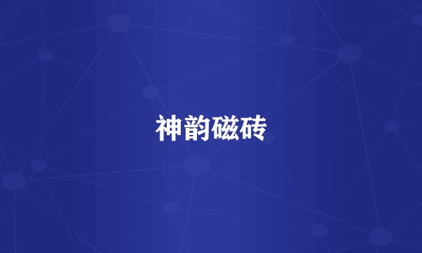 神韵磁砖