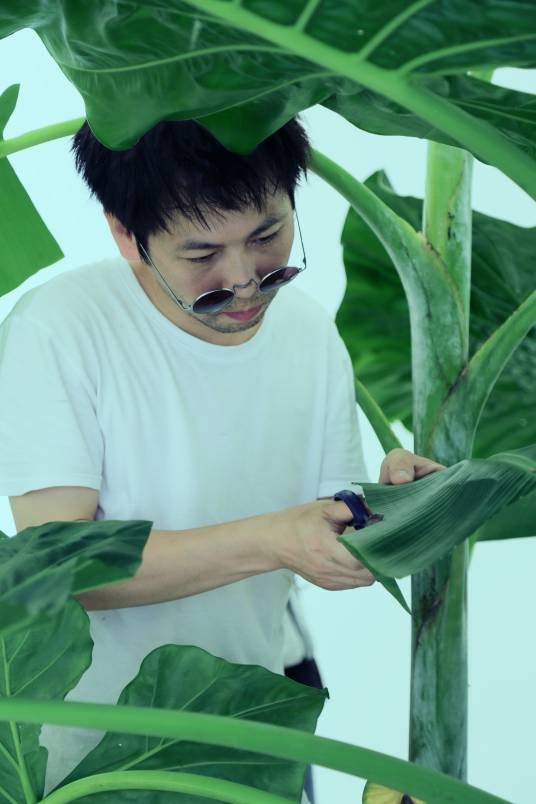 陈伟才（中国福建籍艺术家）