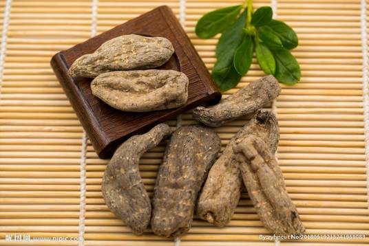 野生天麻