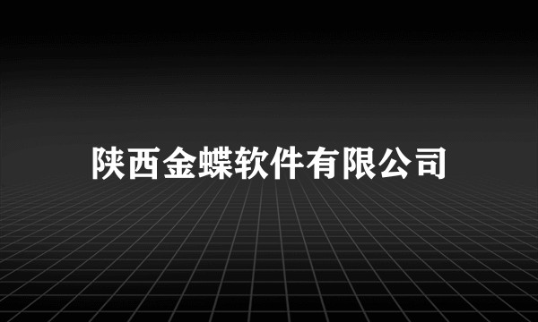 陕西金蝶软件有限公司