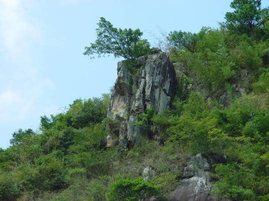 莆田大蜚山省级森林公园