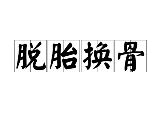 脱胎换骨（汉语成语）