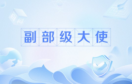 副部级大使