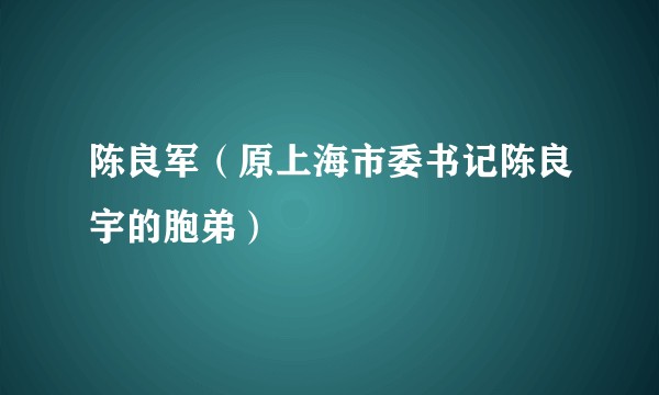 陈良军（原上海市委书记陈良宇的胞弟）