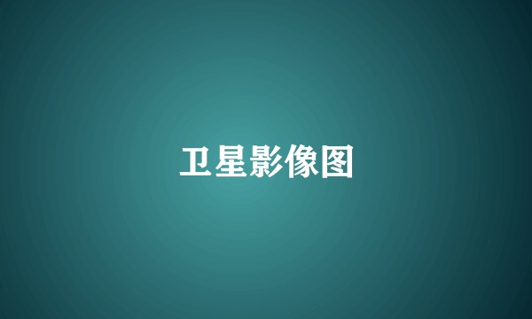 卫星影像图