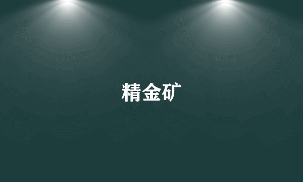 精金矿