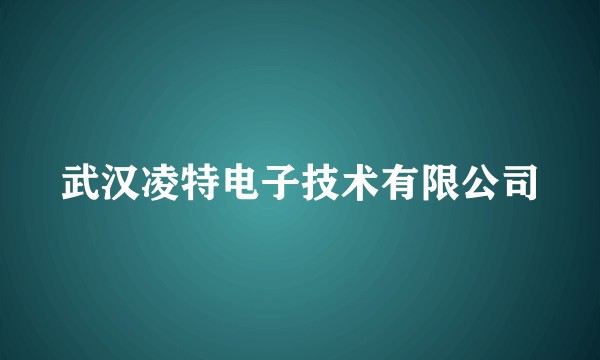 武汉凌特电子技术有限公司