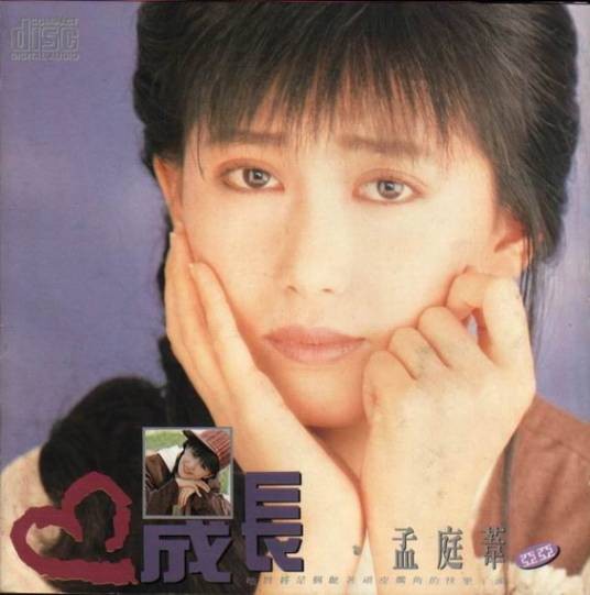 如果你不再爱我(孟庭苇1990年的原唱歌曲)