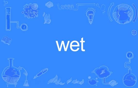 Wet（英文单词）