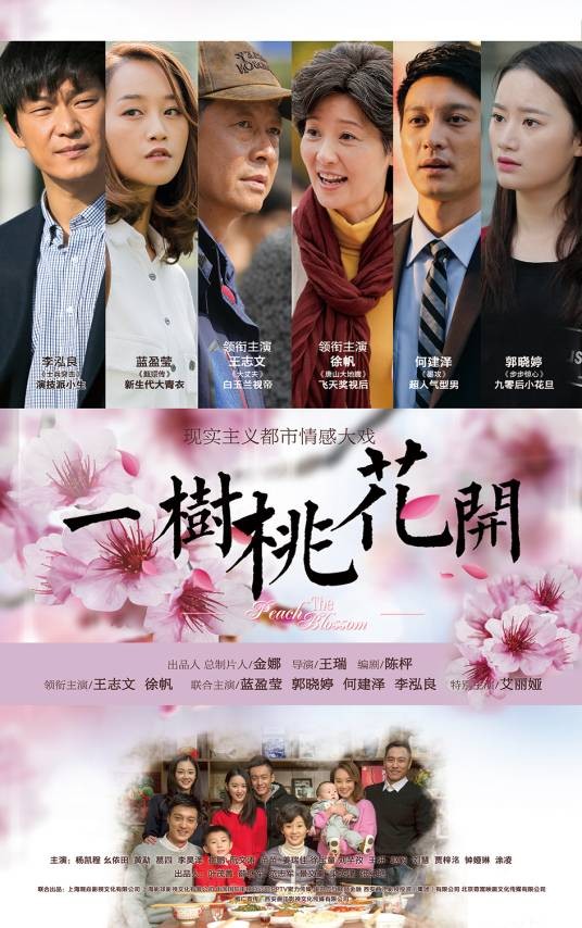 一树桃花开（2016年王瑞执导的都市情感剧）