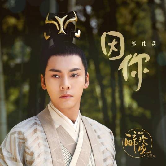 因你(电视剧《醉玲珑》主题曲)