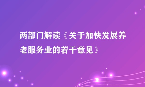 两部门解读《关于加快发展养老服务业的若干意见》