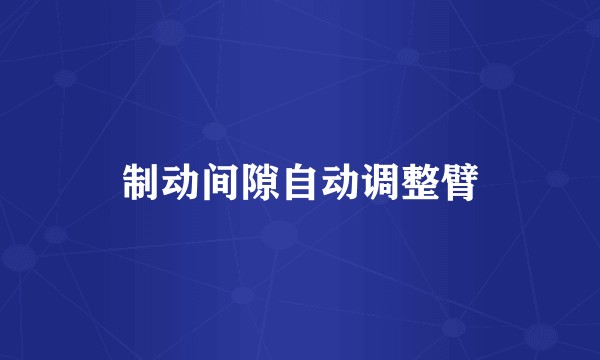 制动间隙自动调整臂
