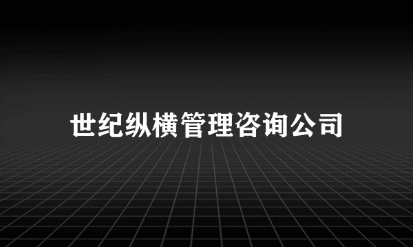 世纪纵横管理咨询公司