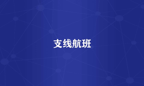 支线航班