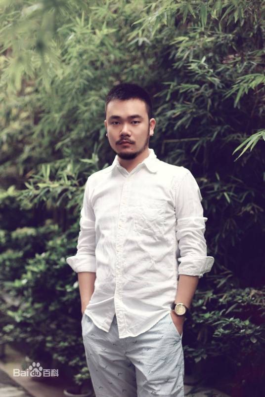 王臣(中国作家)