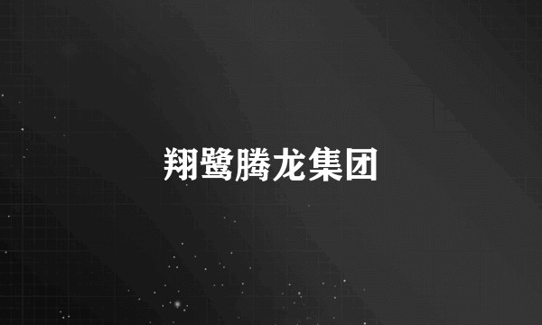 翔鹭腾龙集团