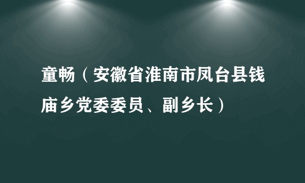 童畅(安徽省淮南市凤台县钱庙乡党委委员、副乡长)