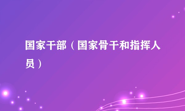 国家干部（国家骨干和指挥人员）