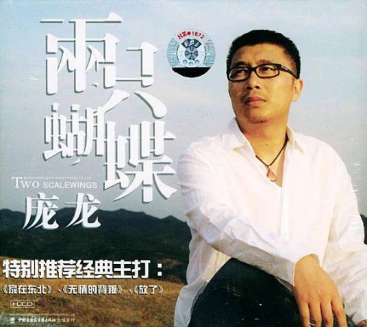 两只蝴蝶(2004年庞龙发行的音乐专辑)