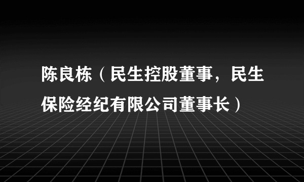 陈良栋（民生控股董事，民生保险经纪有限公司董事长）