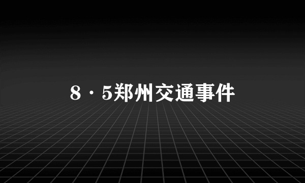 8·5郑州交通事件