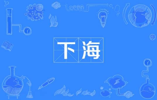 下海(网络流行词)