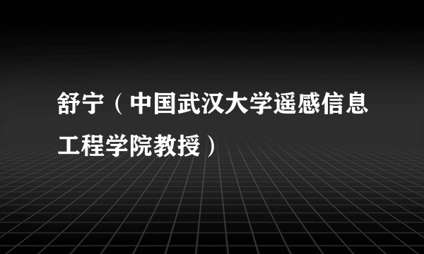 舒宁(中国武汉大学遥感信息工程学院教授)