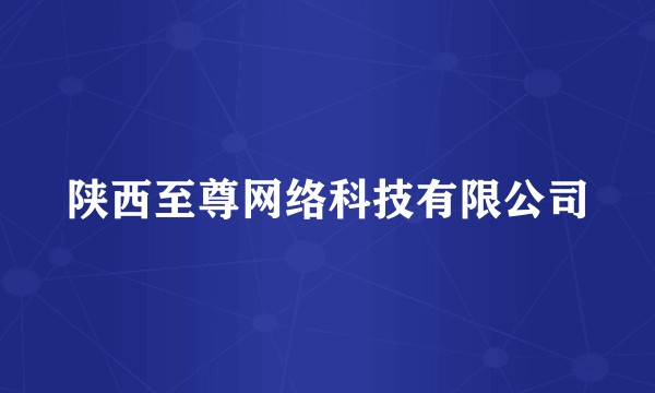 陕西至尊网络科技有限公司