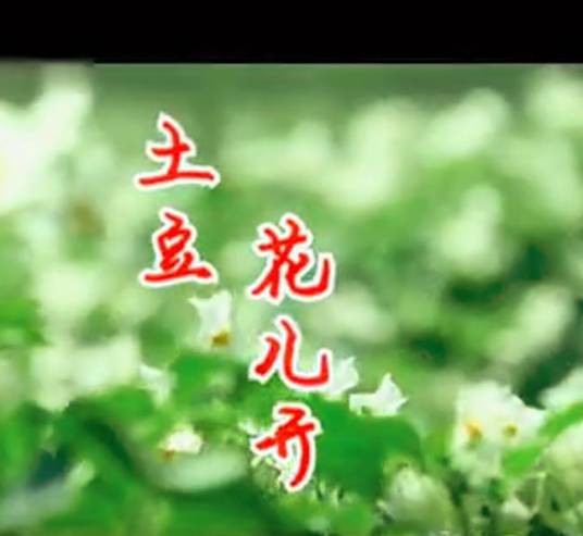 土豆花儿开(阎维文演唱歌曲)