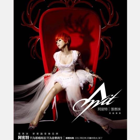 黑吃黑(张惠妹演唱歌曲)