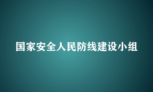 国家安全人民防线建设小组