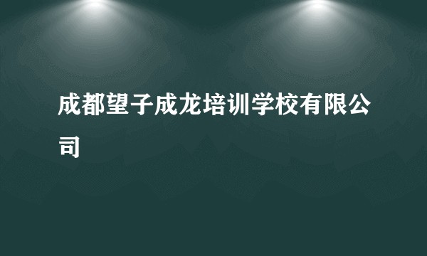 成都望子成龙培训学校有限公司