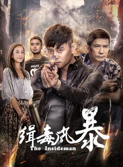缉毒风暴（2019年邵进执导的动作电影）