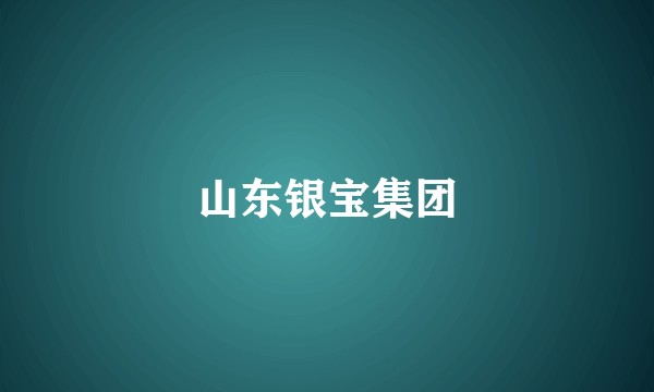 山东银宝集团