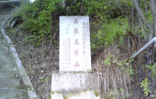 龙骨山（黑龙江省嘉荫县龙骨山）