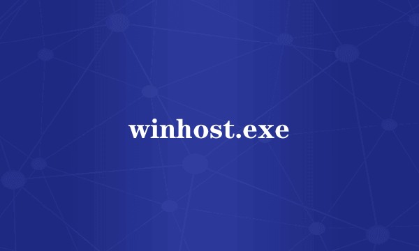 winhost.exe
