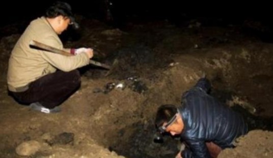 杨彬（武惠妃墓盗墓案主犯）