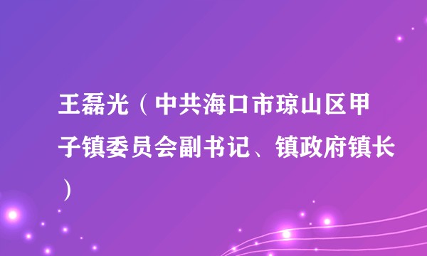 王磊光（中共海口市琼山区甲子镇委员会副书记、镇政府镇长）