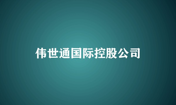 伟世通国际控股公司