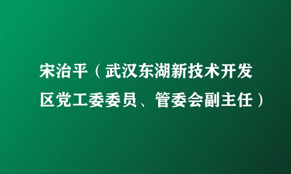宋治平(武汉东湖新技术开发区党工委委员、管委会副主任)