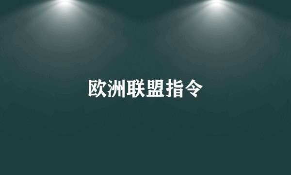 欧洲联盟指令