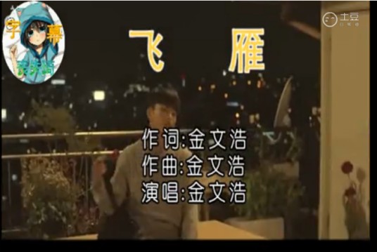 飞雁(金文浩(破弦)演唱的歌曲)