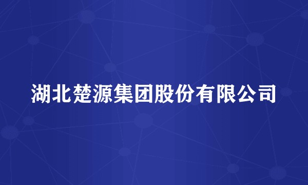 湖北楚源集团股份有限公司