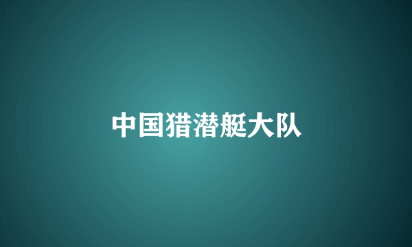 中国猎潜艇大队