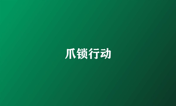 爪锁行动