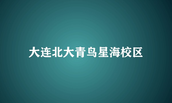 大连北大青鸟星海校区