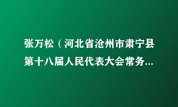 张万松（河北省沧州市肃宁县第十八届人民代表大会常务委员会主任）