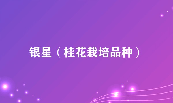 银星(桂花栽培品种)