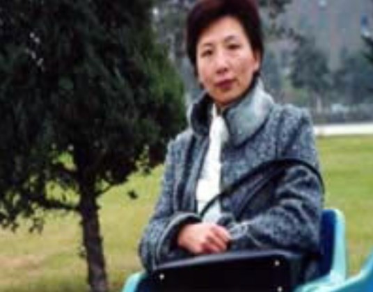 陈晓慧（东北师范大学传媒科学学院教授）